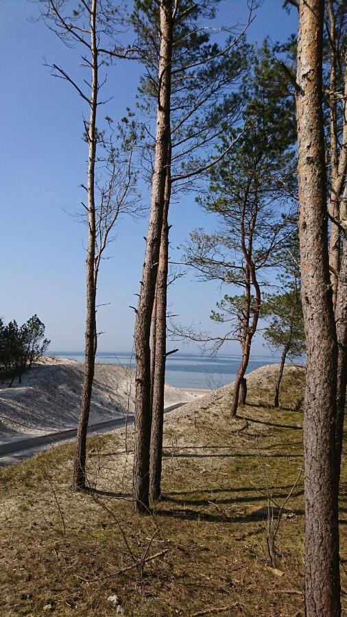 Apartament Premium Baltic House Międzywodzie Zewnętrze zdjęcie